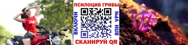 Галлюциногенные грибы мицелий  как найти закладки  Староминская 