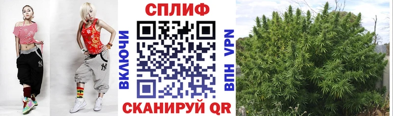 даркнет сайт MEGA зеркало Бошки марихуана White Widow Староминская